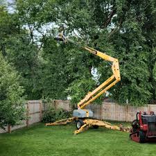 Best Pest Control for Lawns  in Ridgefield, NJ
