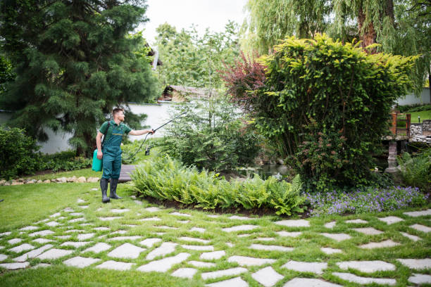 Soil Testing and Treatment in Ridgefield, NJ